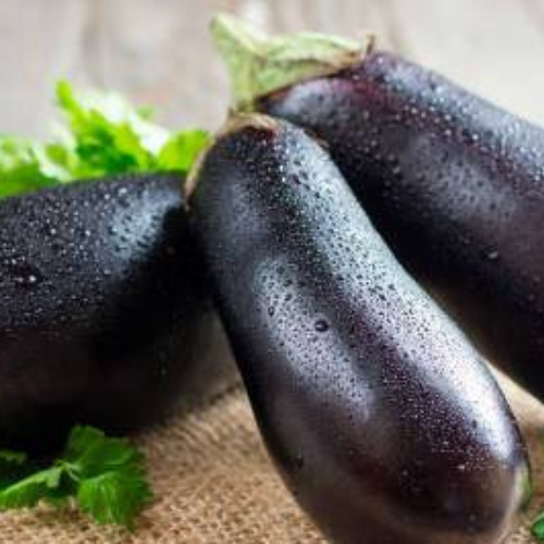 Eggplant