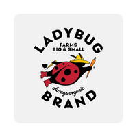 Ladybug