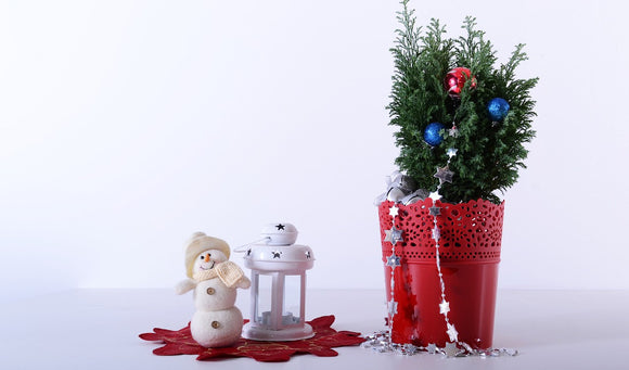 How to Make a Holiday Porch Pot