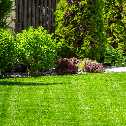 Lawn & Garden