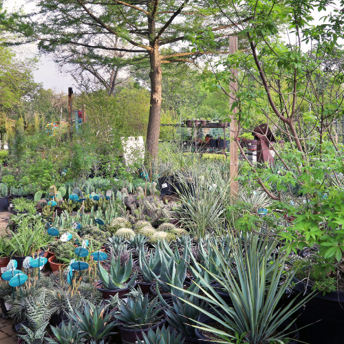 Inside Shoal Creek