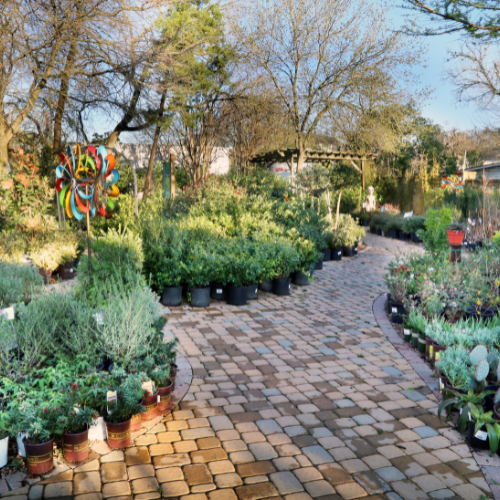 Inside Shoal Creek