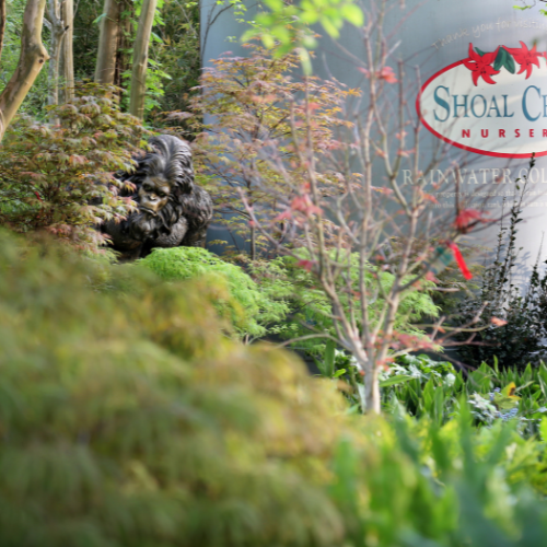 Inside Shoal Creek