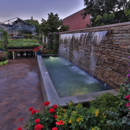 Inside Shoal Creek
