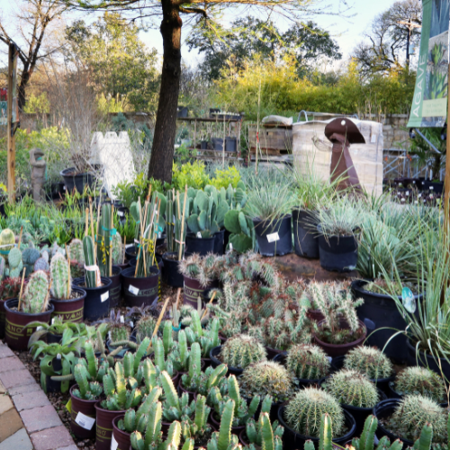 Inside Shoal Creek