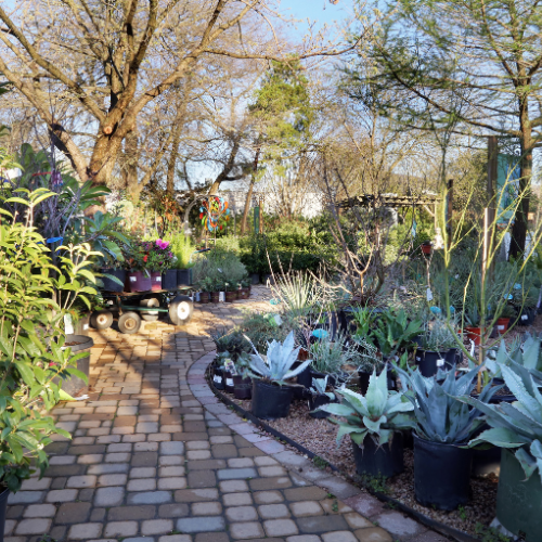 Inside Shoal Creek