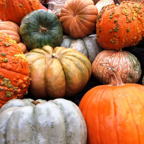Gourds