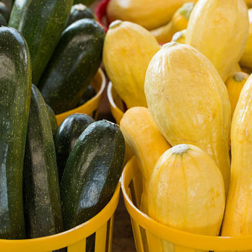 Squash