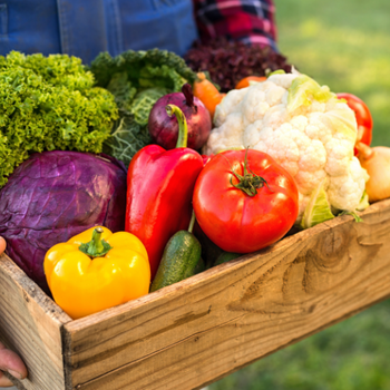Vegetables