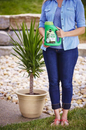 Miracle-Gro® Shake 'n Feed® Palm Plant Food (4.5 lbs)