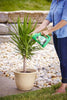 Miracle-Gro® Shake 'n Feed® Palm Plant Food (4.5 lbs)