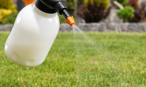 Pesticides being sprayed