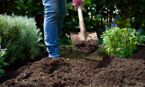 Person digging dirt with a shovel