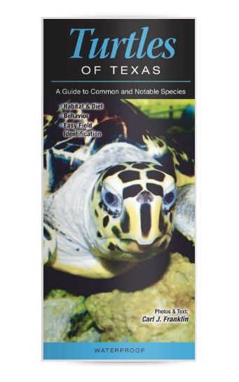 Turtles of Texas