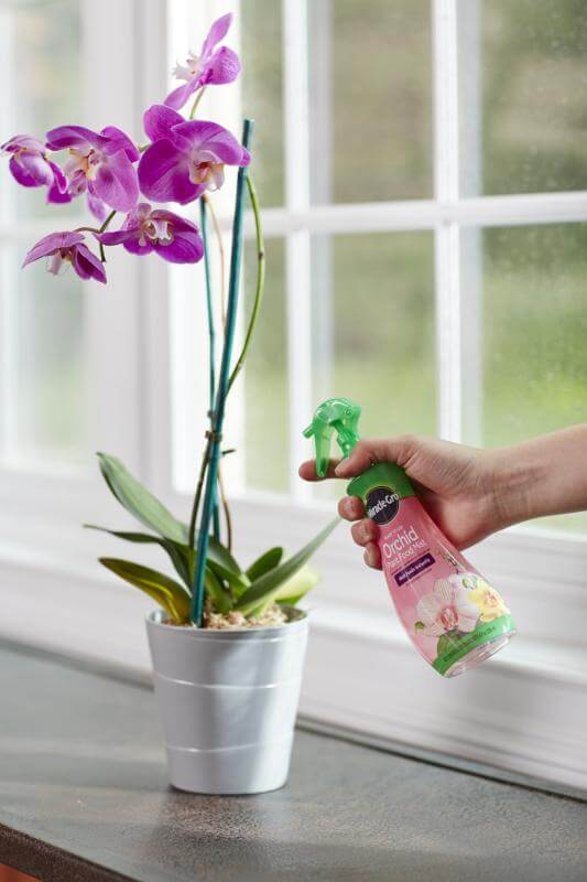 Miracle-Gro® Ready-To-Use Orchid Plant Food Mist - Austin, TX - Shoal ...