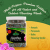 Nelson Plant Food ColorStar Outdoor & Indoor Plant Fertilizer