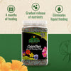 Nelson Plant Food ColorStar Outdoor & Indoor Plant Fertilizer