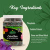Nelson Plant Food ColorStar Outdoor & Indoor Plant Fertilizer