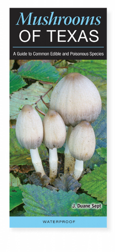 Mushrooms of Texas