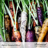 Botanical Interests Carnival Blend Carrot Seeds