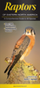 Raptors of Eastern North America